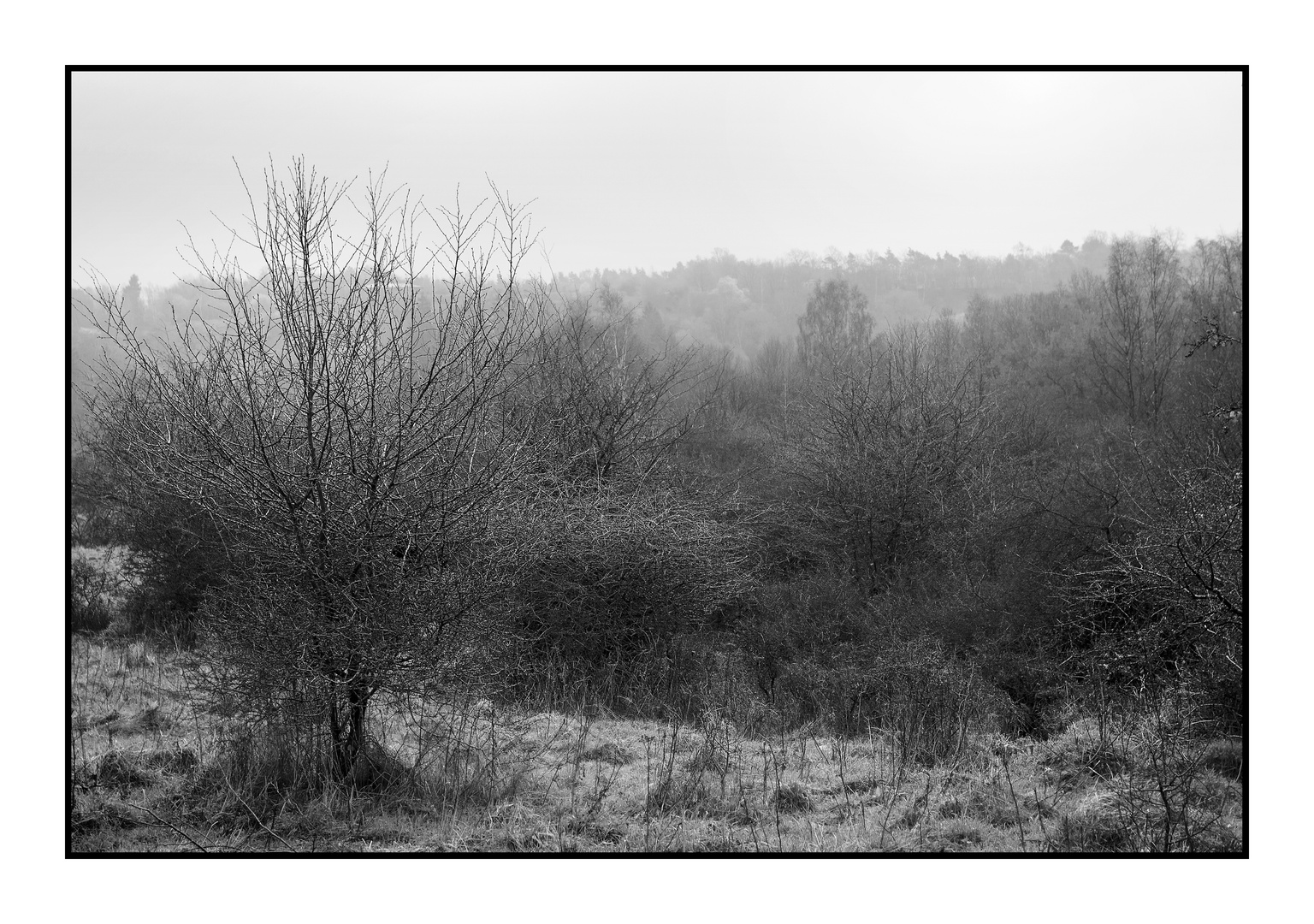 Landschaft Dreiborner Hochfläche