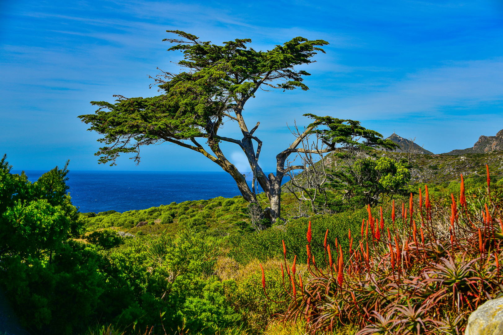 Landschaft .                            DSC_4695