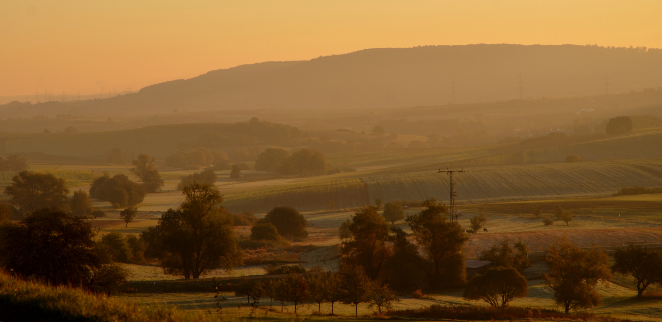 Landschaft