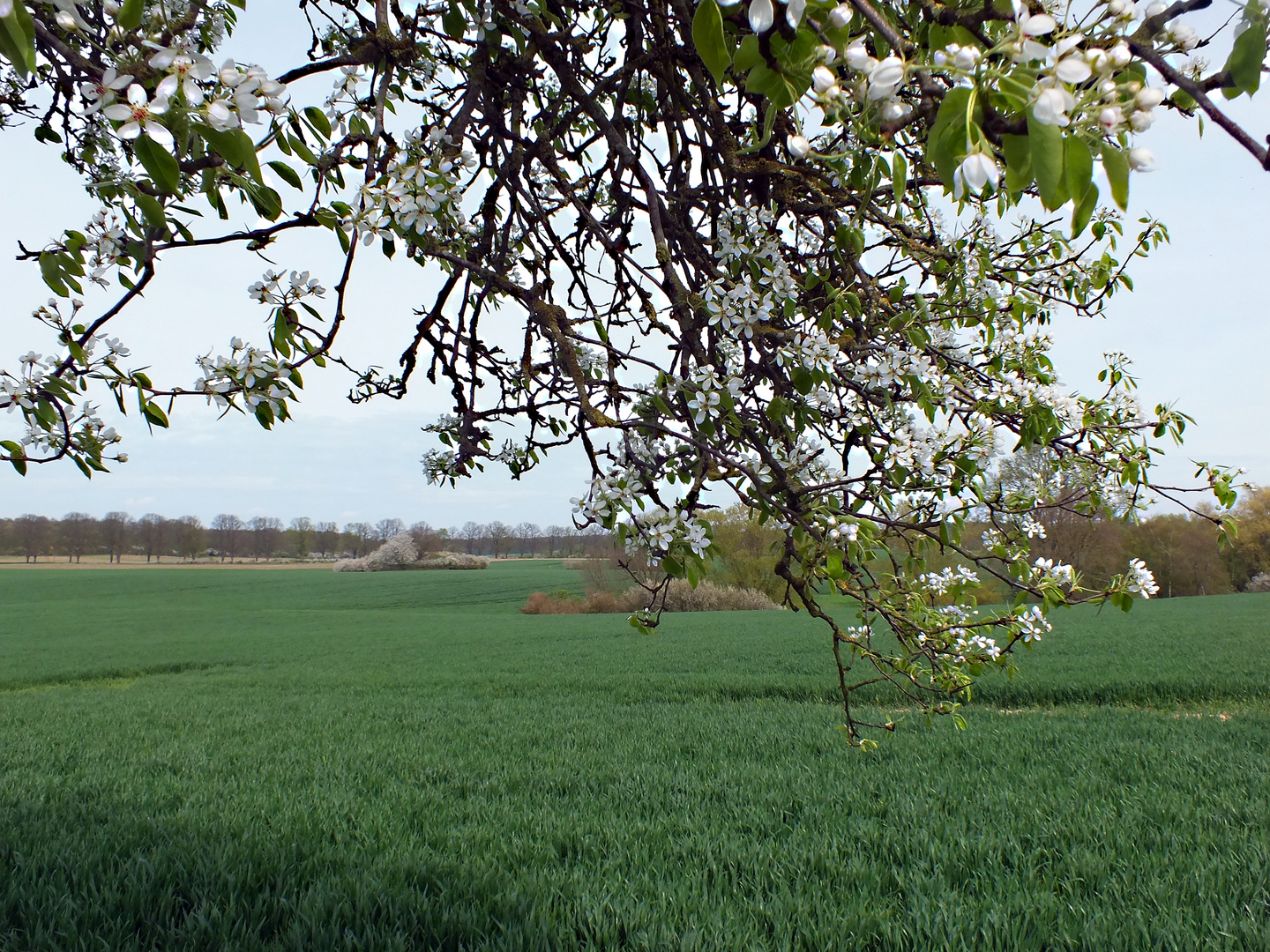 Landschaft