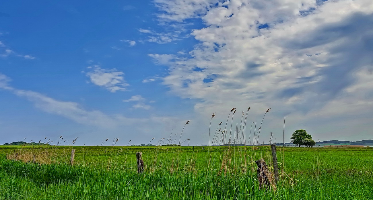 Landschaft