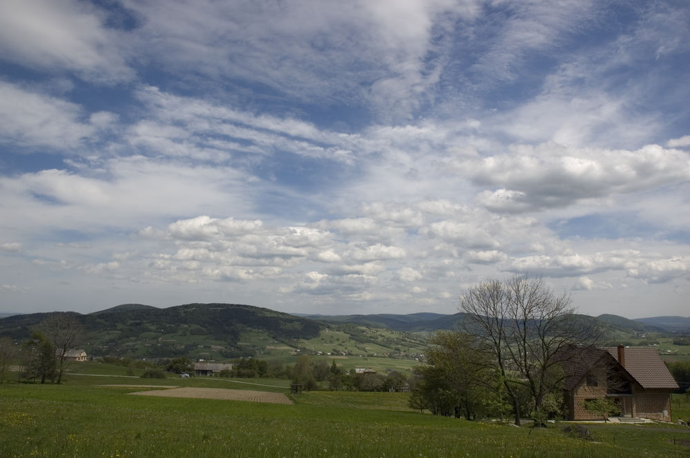 Landschaft