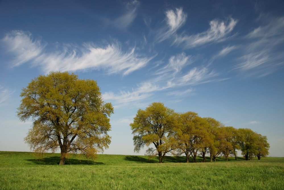 Landschaft