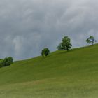 Landschaft - einfach nur schön