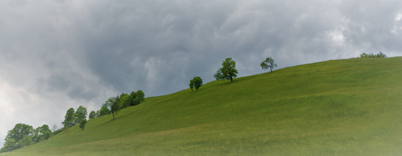 Landschaft - einfach nur schön