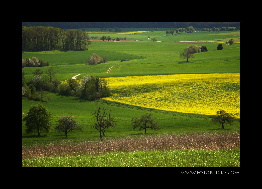 Landschaft - einfach so