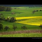 Landschaft - einfach so