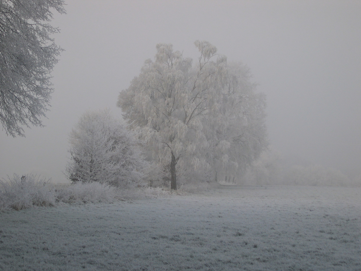 Landschaft eingehüllt