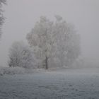 Landschaft eingehüllt