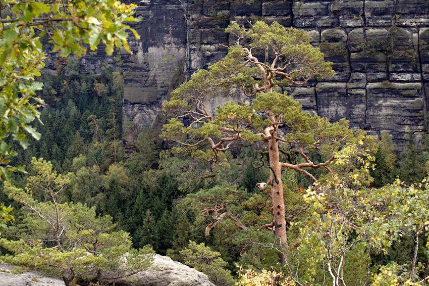 Landschaft