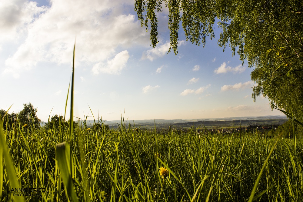 Landschaft ²