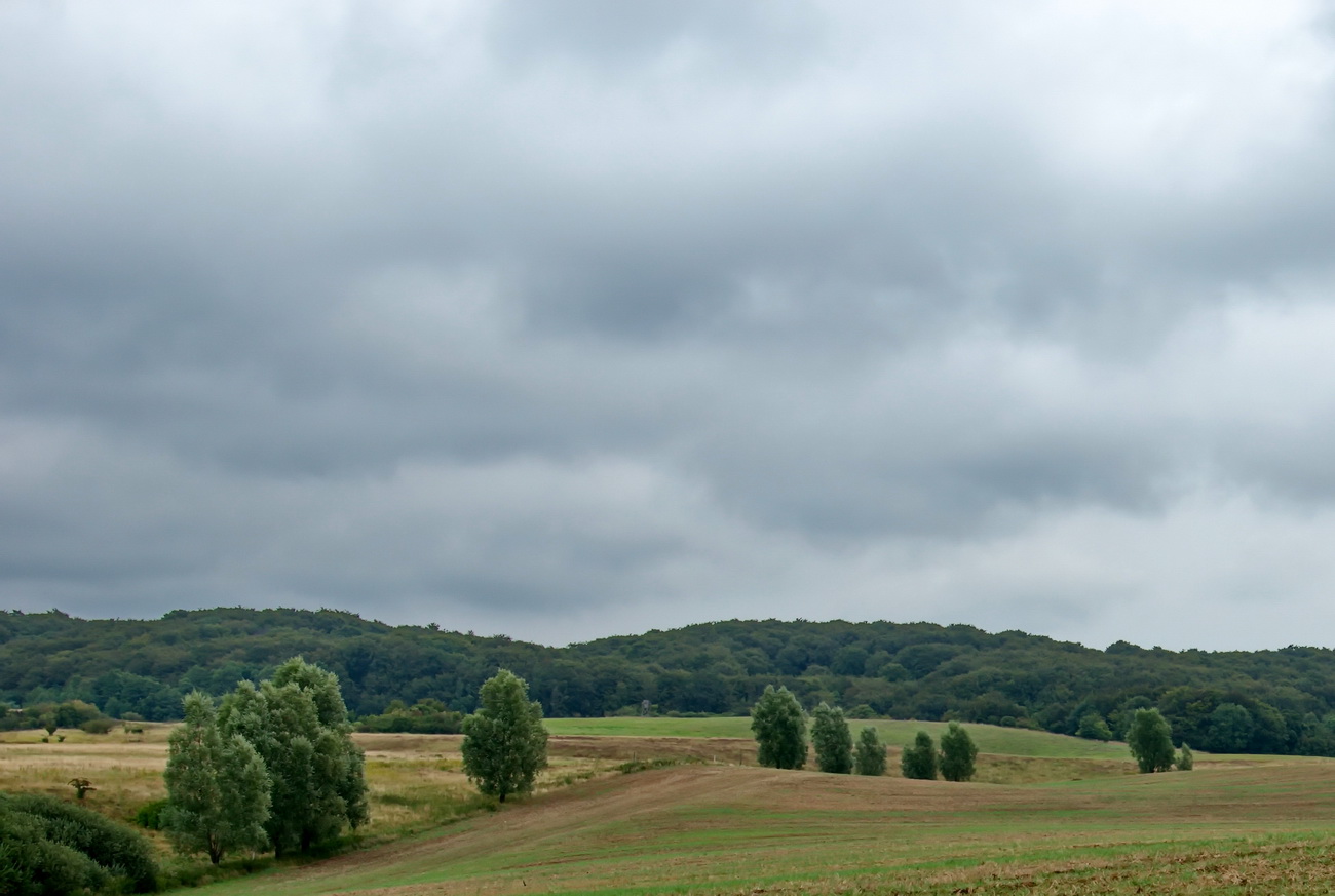 landschaft