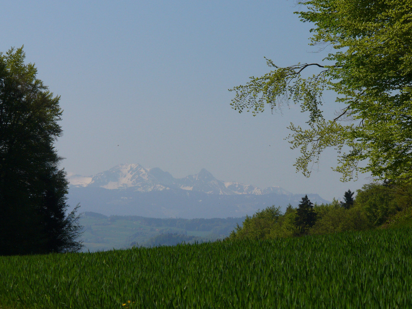 Landschaft