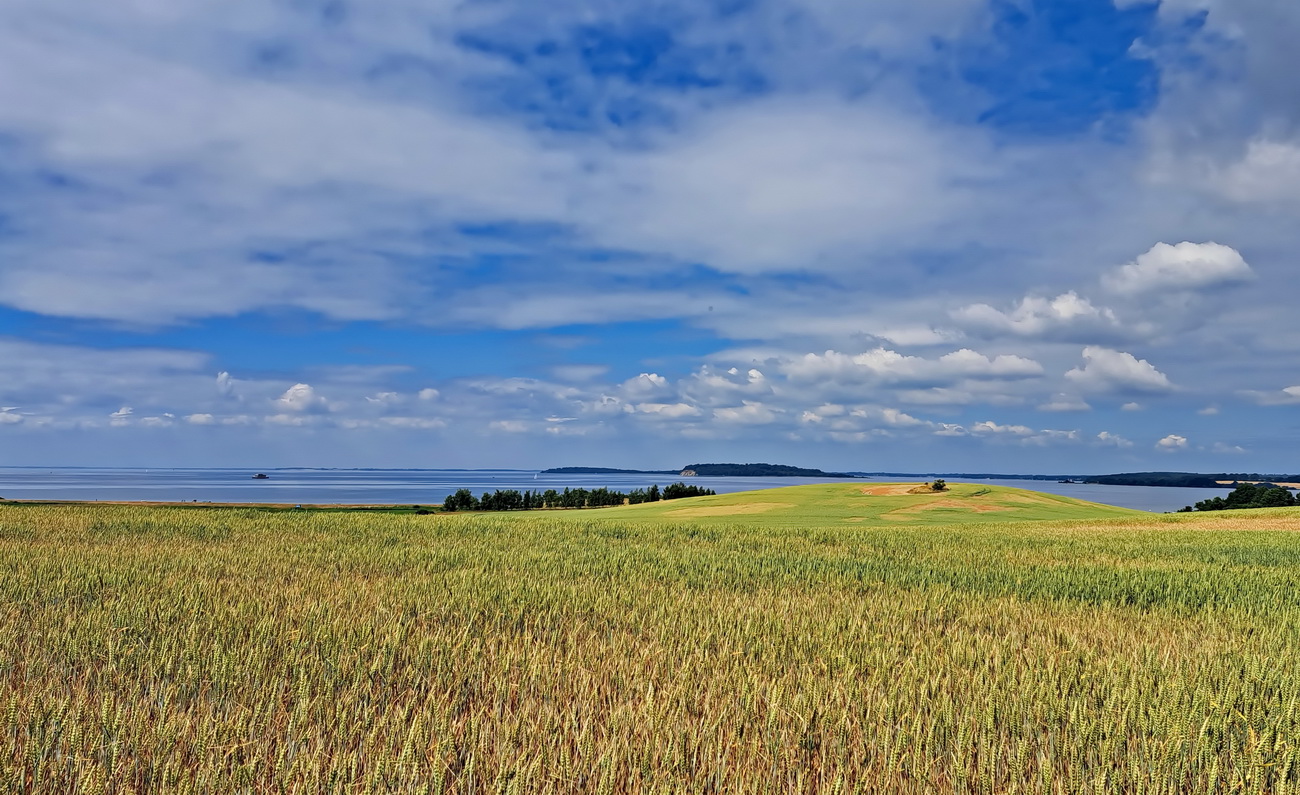 Landschaft 