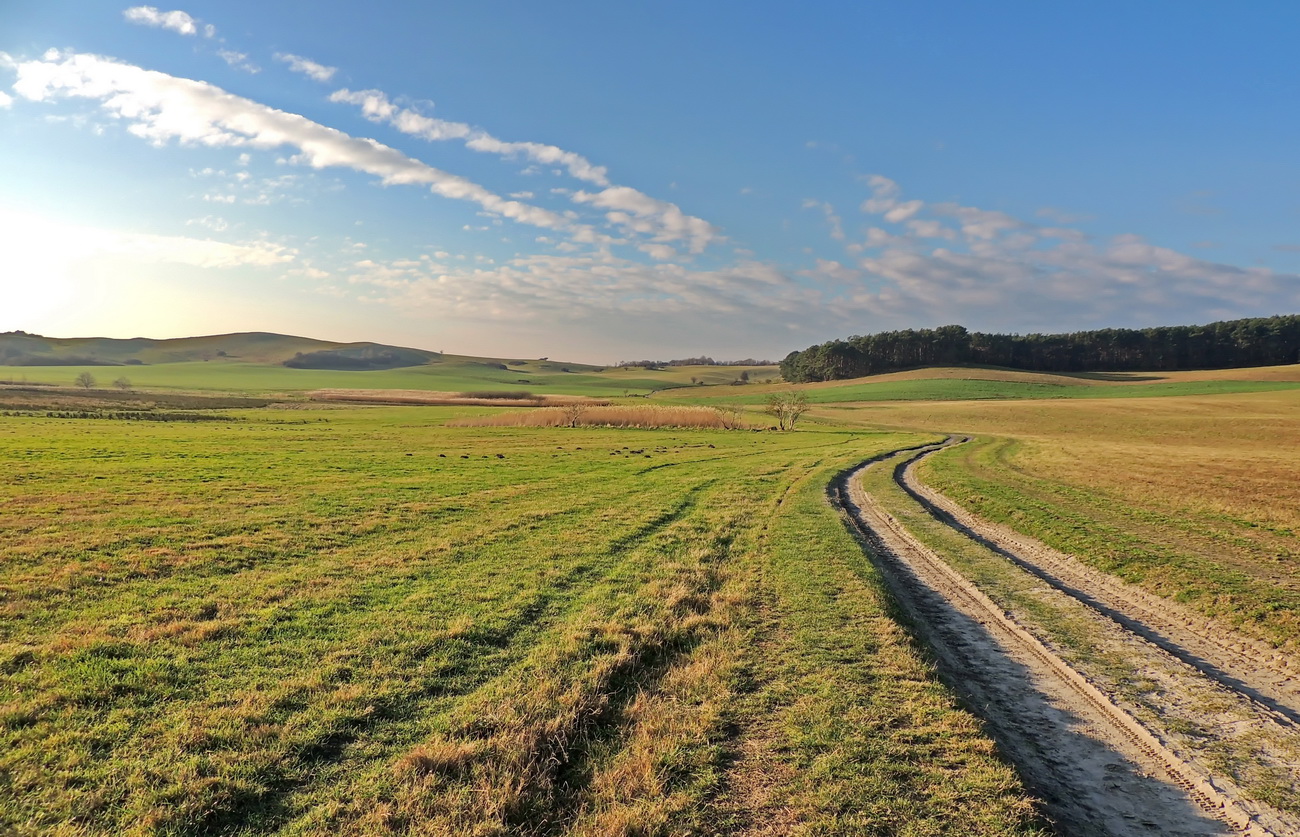 Landschaft