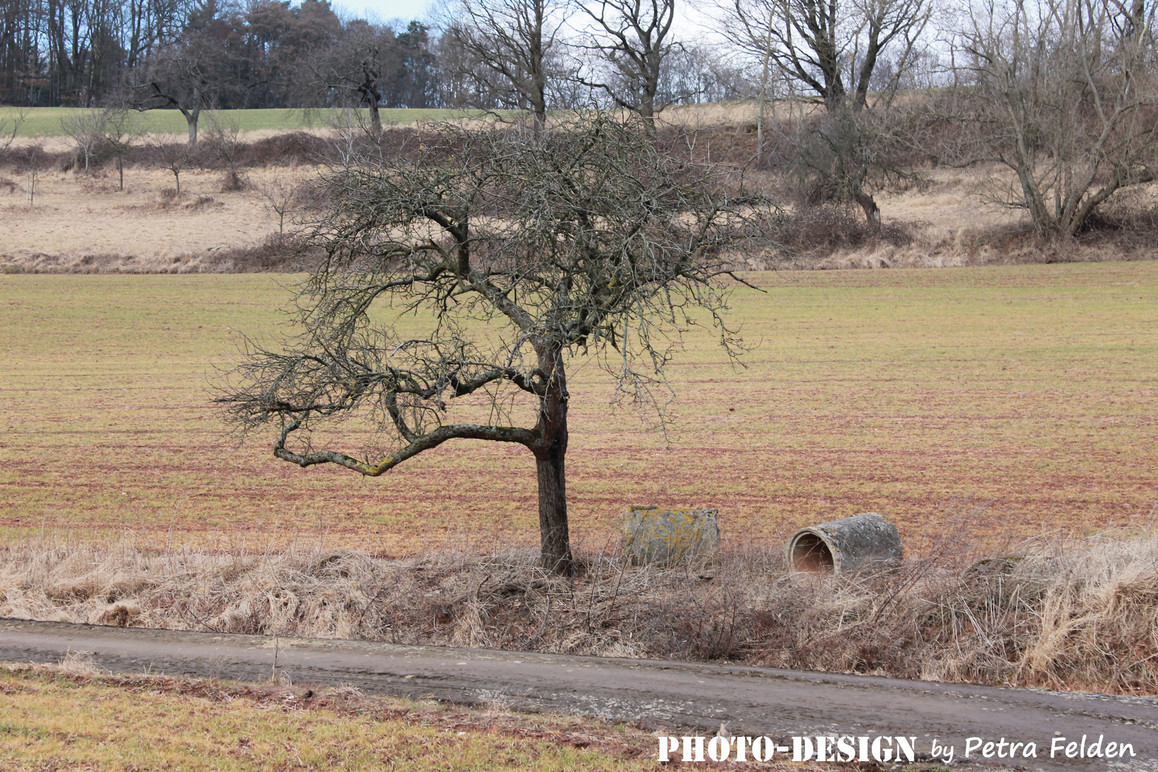 Landschaft