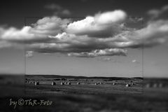 Landschaft, Feld in S/W