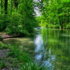 Landschaft Fluss Alte Aare bei Aarberg