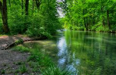 Landschaft Fluss Alte Aare bei Aarberg