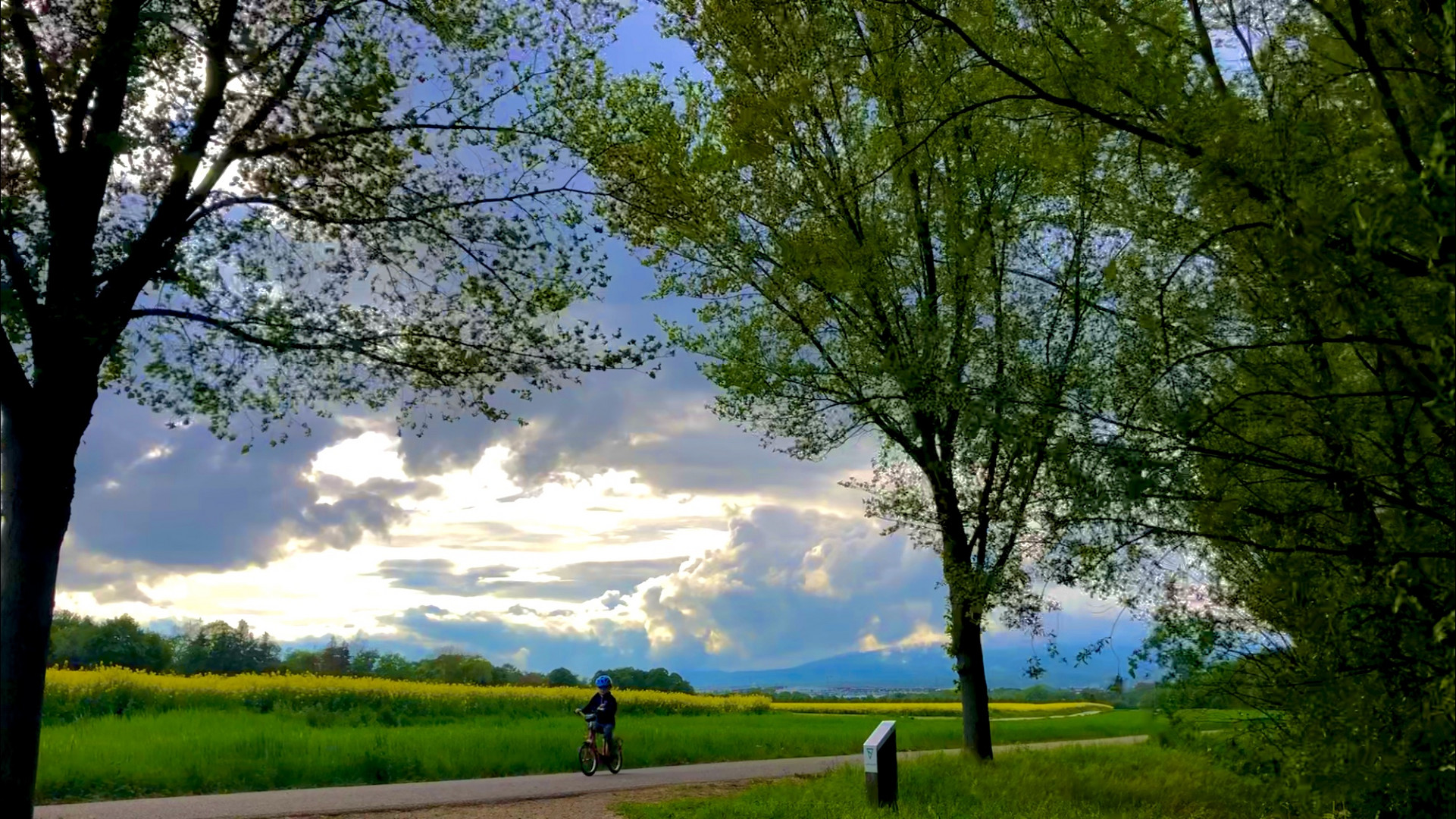 Landschaft, Frankfurt am Main