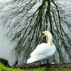 Landschaft - Frankfurt am Main, Germany