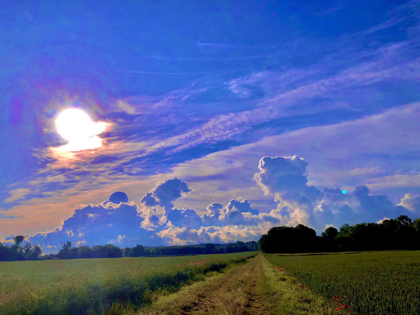 Landschaft - Frankfurt am Main, Germany