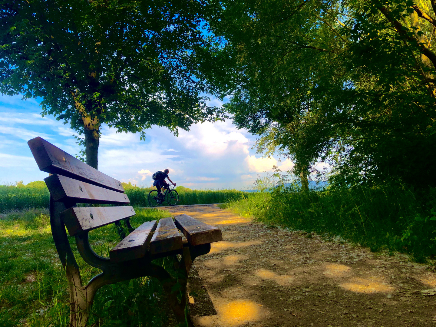 Landschaft - Frankfurt am Main, Germany