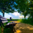 Landschaft - Frankfurt am Main, Germany