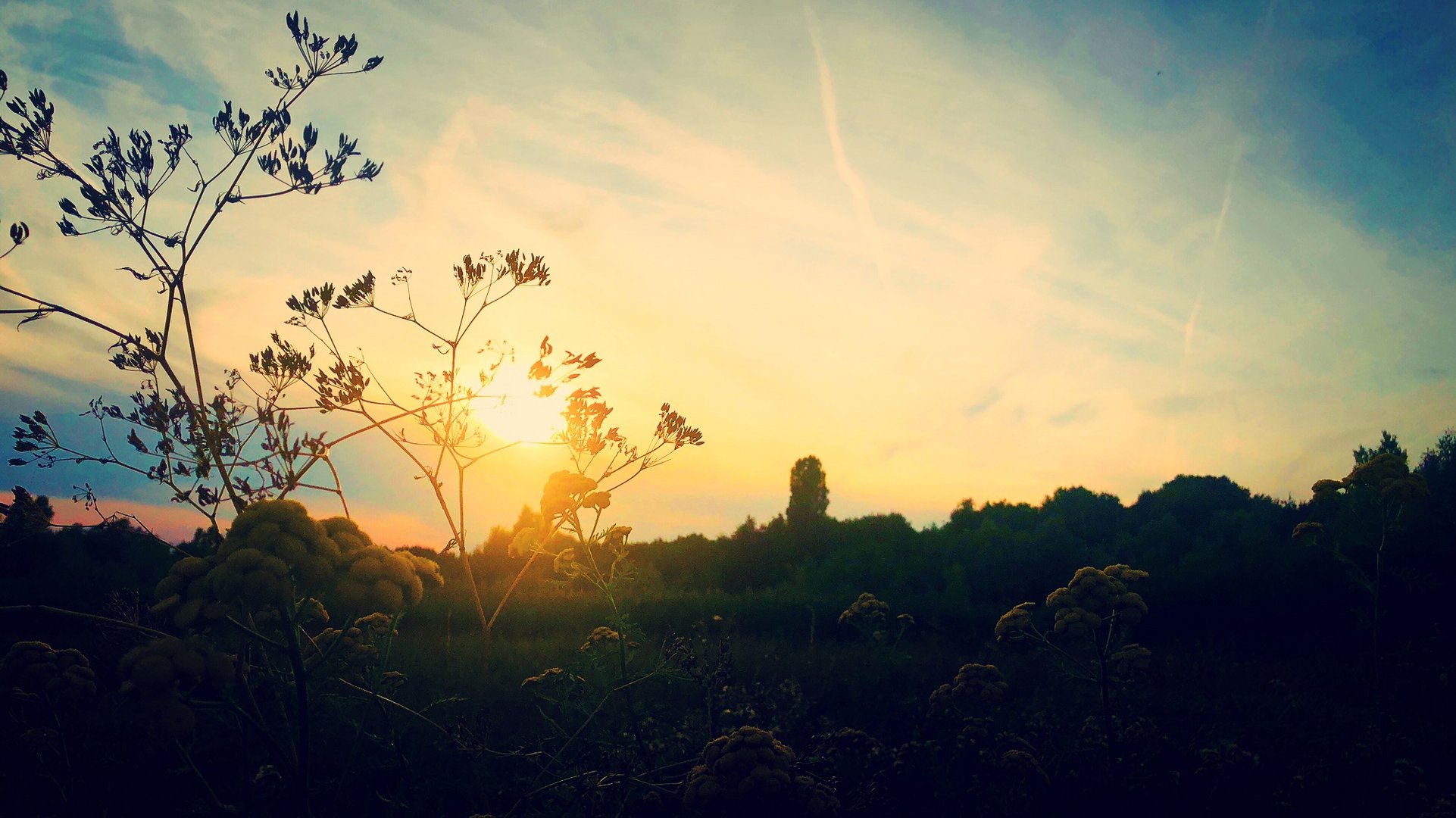 Landschaft - Frankfurt am Main, Germany