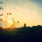 Landschaft - Frankfurt am Main, Germany