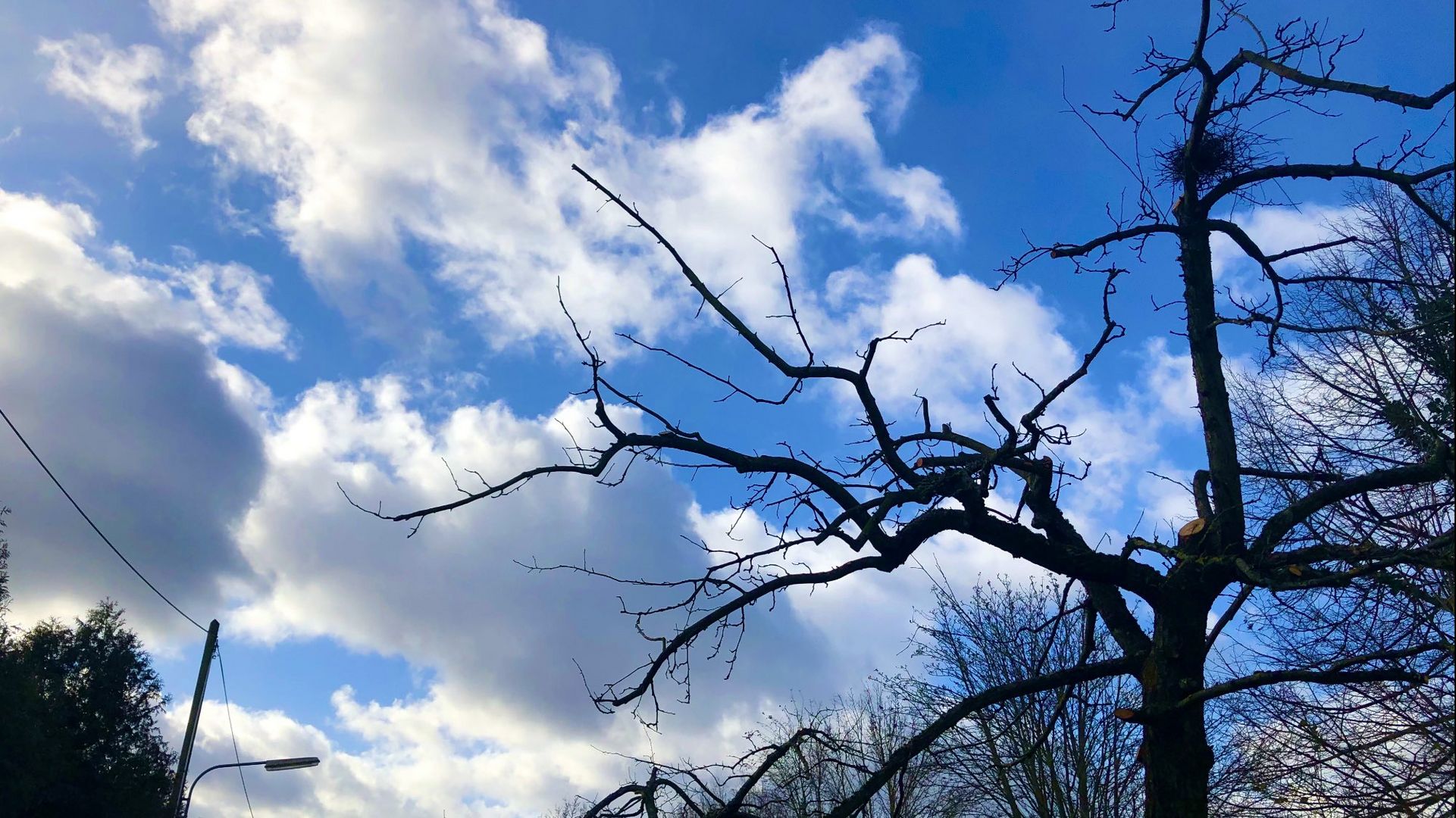 Landschaft - Frankfurt am Main, Germany