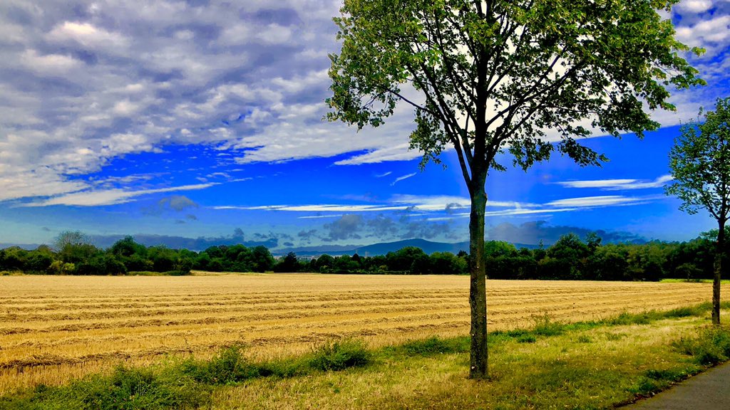 Landschaft - Frankfurt am Main, Germany