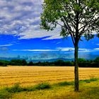 Landschaft - Frankfurt am Main, Germany