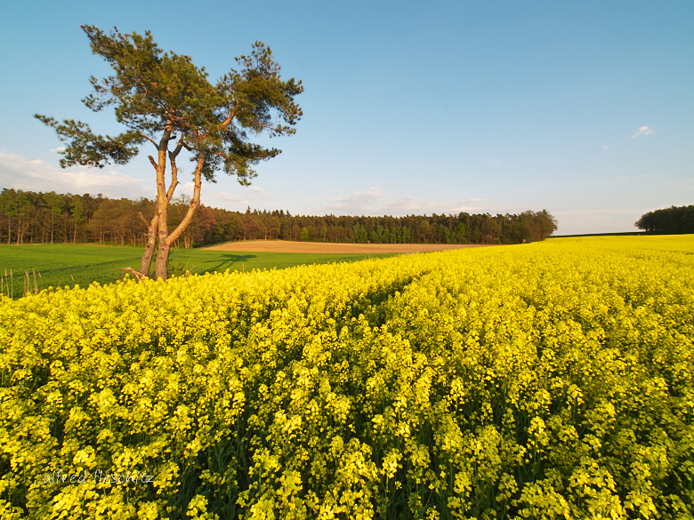 Landschaft Frühling 001 2007