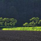 Landschaft Frühling 009 2016 