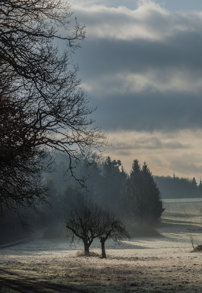 Landschaft frühmorgens