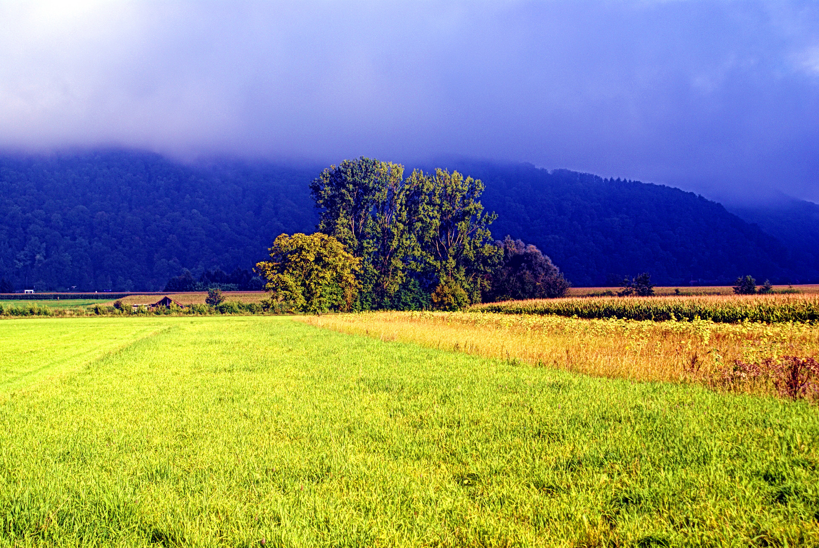 Landschaft Frühmorgens