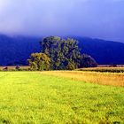 Landschaft Frühmorgens