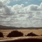 Landschaft Fuerteventura 