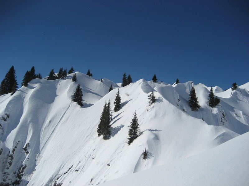 Landschaft geformt nach ihren Bäumen