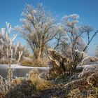 Landschaft, gefrostet