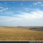 Landschaft gesehen von R319 zwischen Swellendam und Cape Agulhas