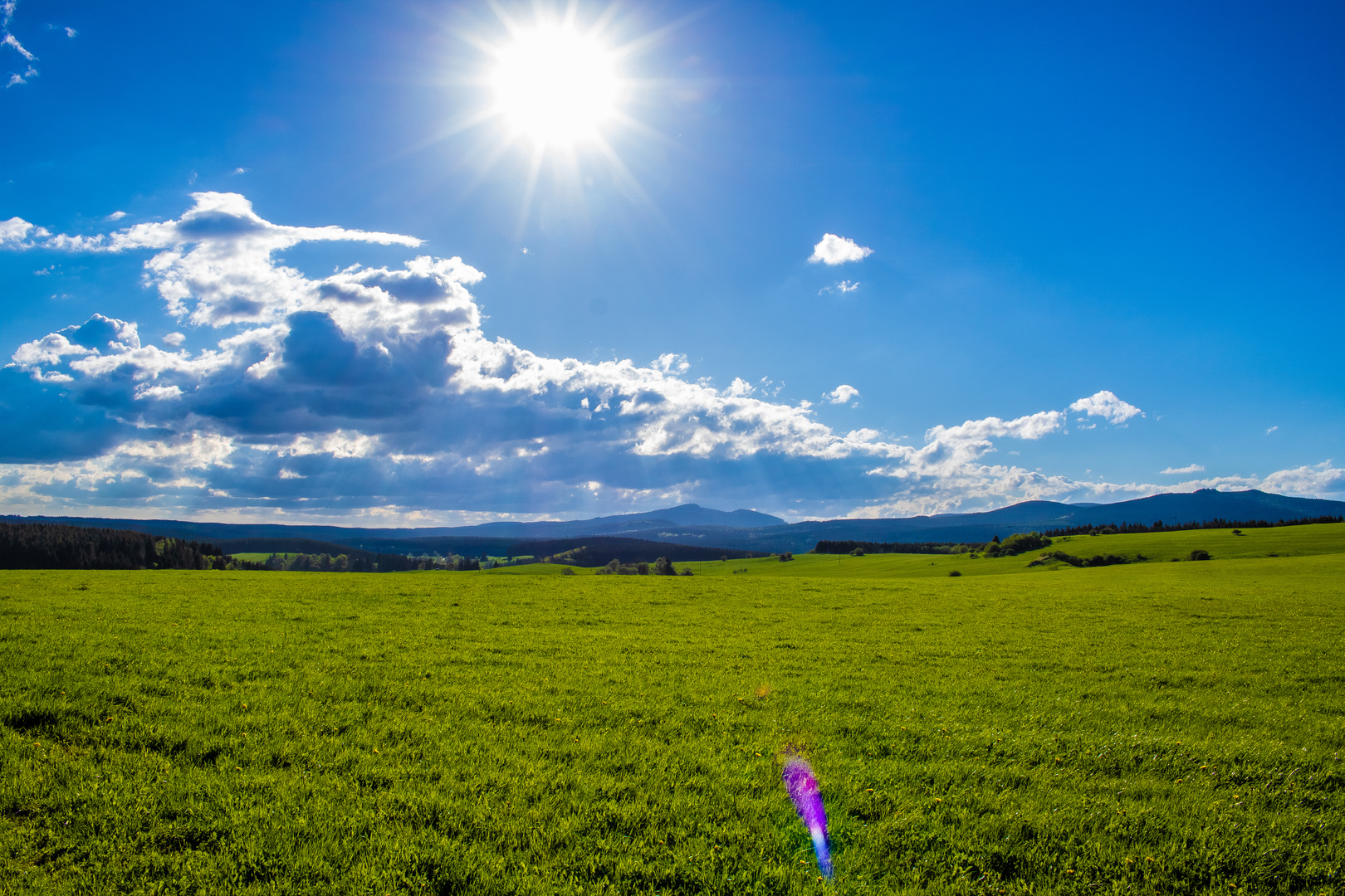 Landschaft Harz