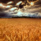 Landschaft HDR