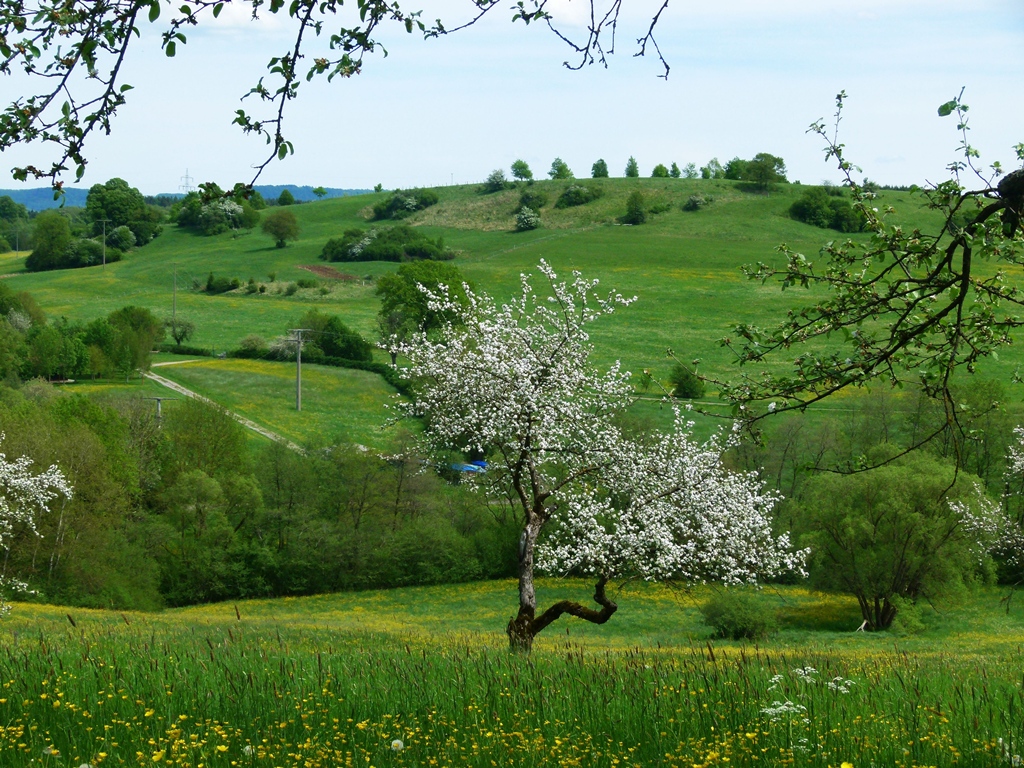 Landschaft Hechingen Umgebung