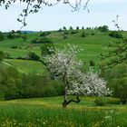 Landschaft Hechingen Umgebung