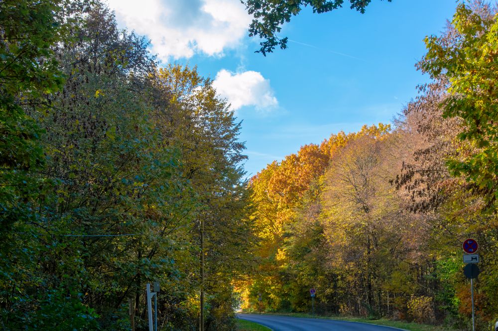 Landschaft Herbst 001