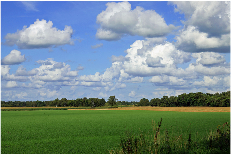 Landschaft & Himmel......