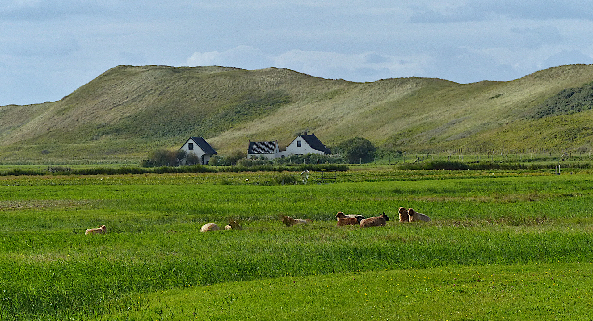 Landschaft hinter dem Deich