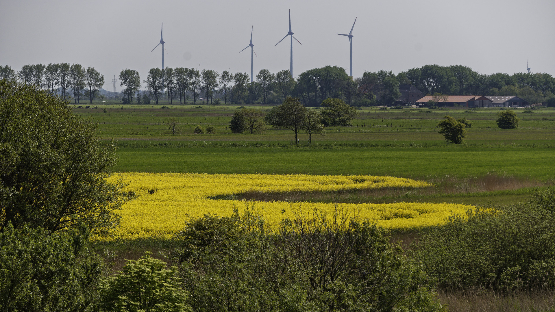 Landschaft hinter dem Seedeich bei Ostbense zwischen Bensersiel und Neuharlingersiel